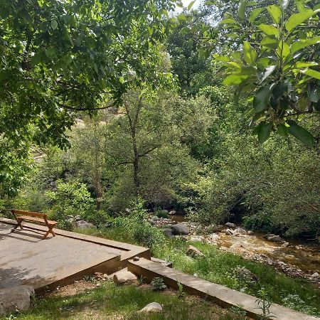 Forest Guest House Mirzakishlak Esterno foto