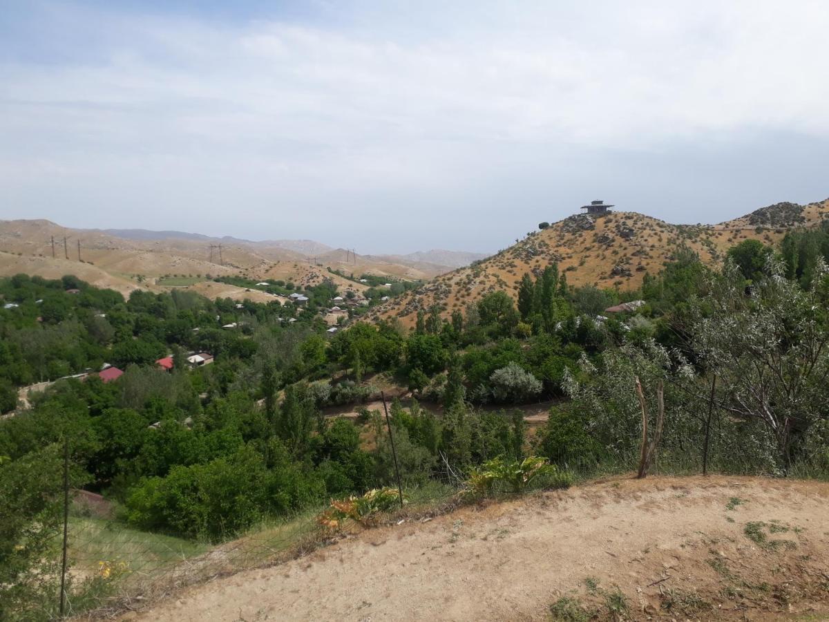 Forest Guest House Mirzakishlak Esterno foto