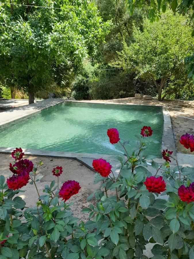 Forest Guest House Mirzakishlak Esterno foto