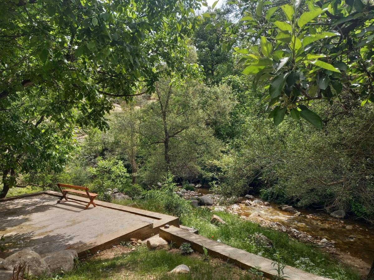 Forest Guest House Mirzakishlak Esterno foto