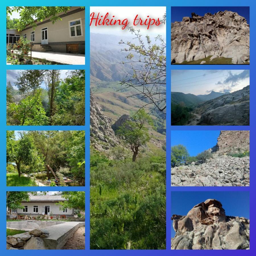Forest Guest House Mirzakishlak Esterno foto