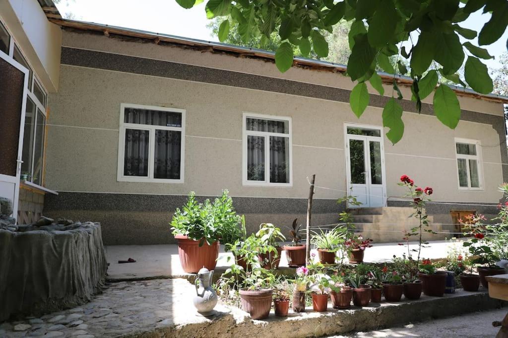 Forest Guest House Mirzakishlak Esterno foto
