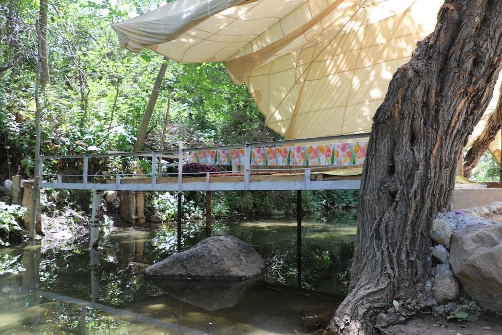 Forest Guest House Mirzakishlak Esterno foto