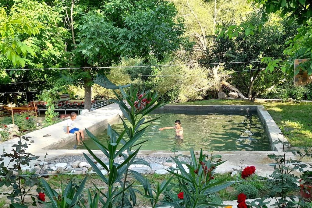 Forest Guest House Mirzakishlak Esterno foto